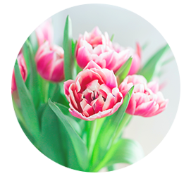 Same day Flowers Bickley